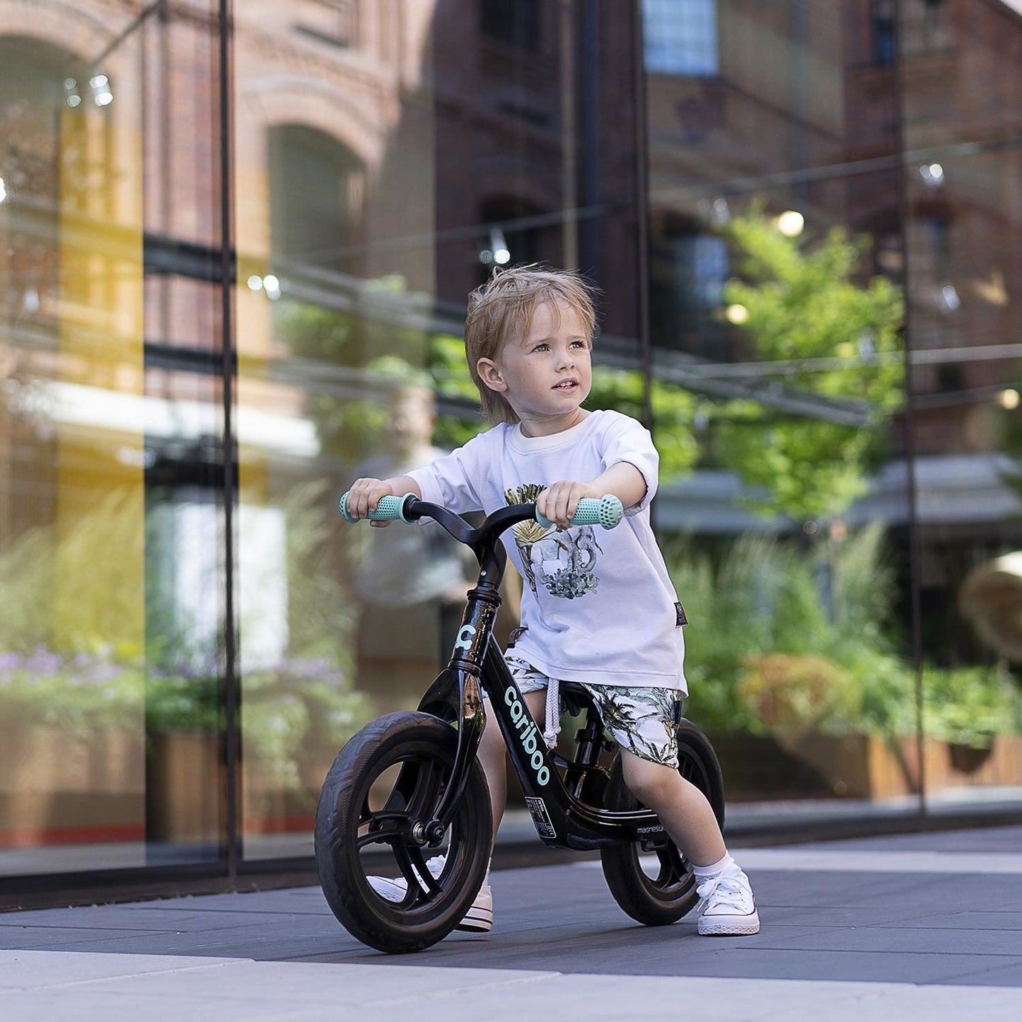 Cariboo Magnesium Pro (black- turquoise)