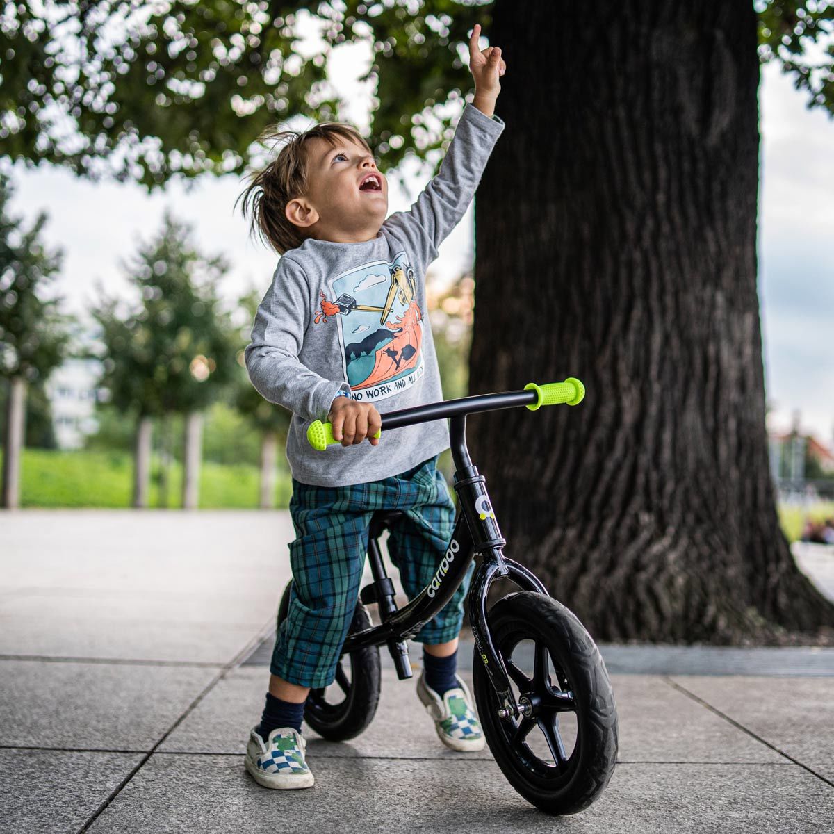 Cariboo Classic (negro)