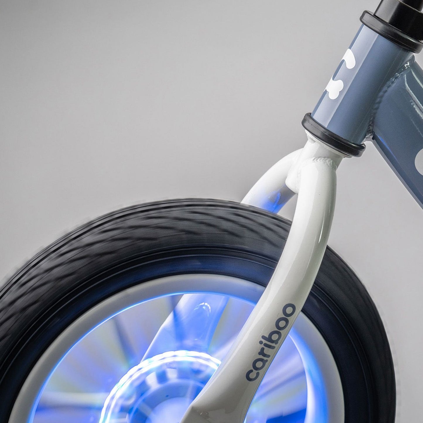 Cariboo Ledventure (blue-brown)